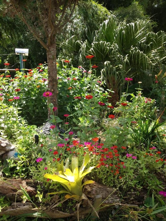 Ruiosucio Alojamiento Campestre Cabanas Mirador Ingruma Riosucio Caldas מראה חיצוני תמונה